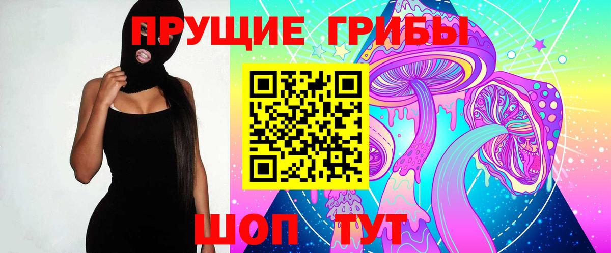 Псилоцибиновые грибы MAGIC MUSHROOMS  Вход с VPN  купить наркоту  Гурьевск  Галлюциногенные грибы мухоморы 